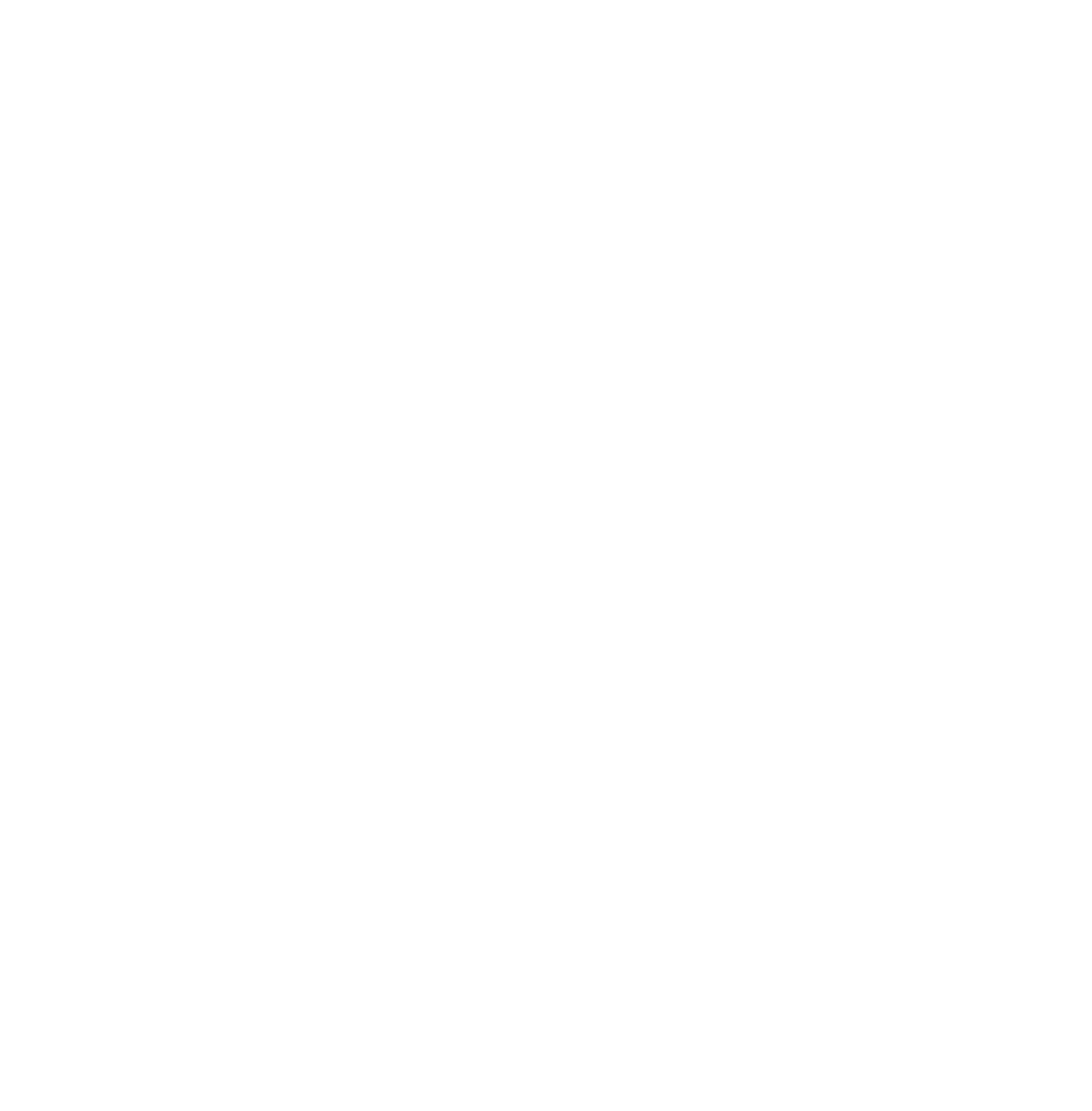 The SRC Experience